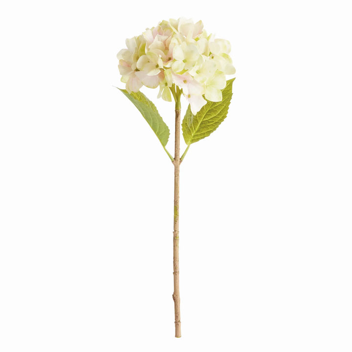 Hydrangea Stems 18", Set Of 6 – Modern Organic