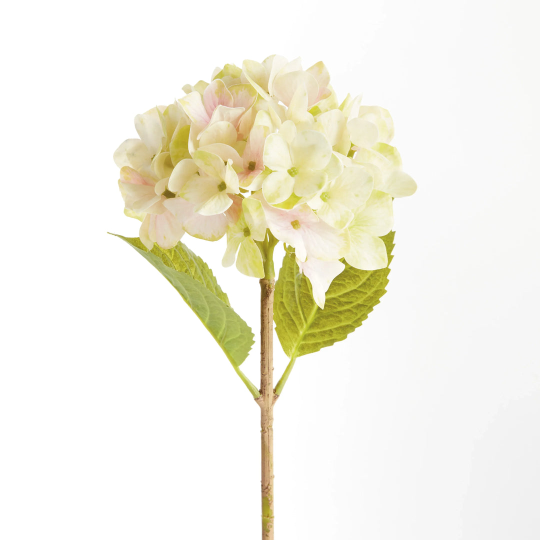Hydrangea Stems 18", Set Of 6 – Modern Organic