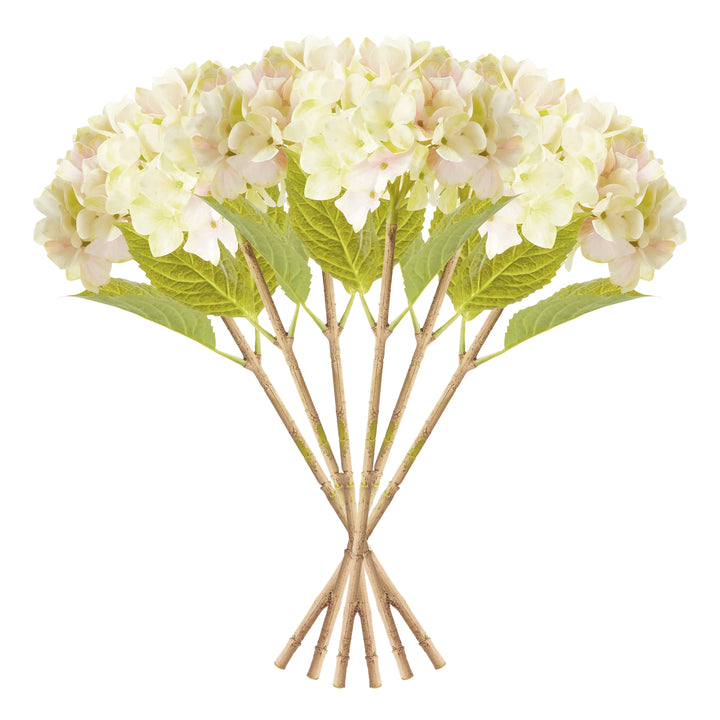 Hydrangea Stems 18", Set Of 6 – Modern Organic
