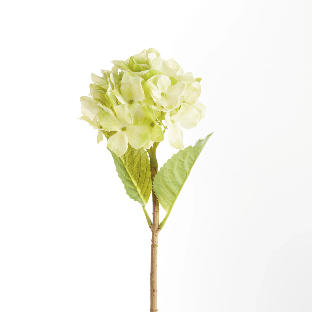 Hydrangea Stems 18", Set Of 6 – Modern Organic