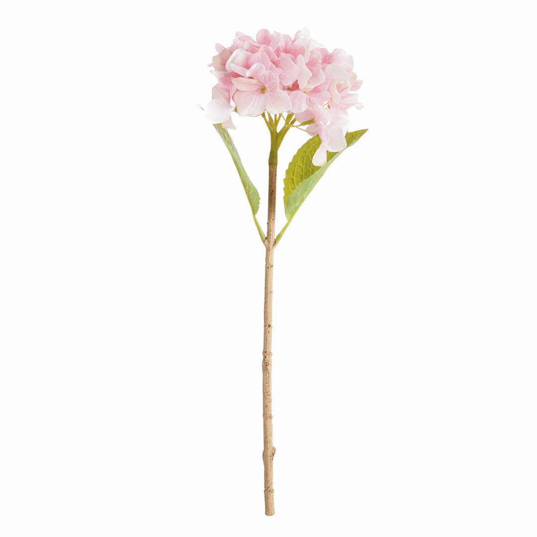 Hydrangea Stems 18", Set Of 6 – Modern Organic