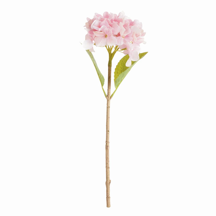 Hydrangea Stems 18", Set Of 6 – Modern Organic