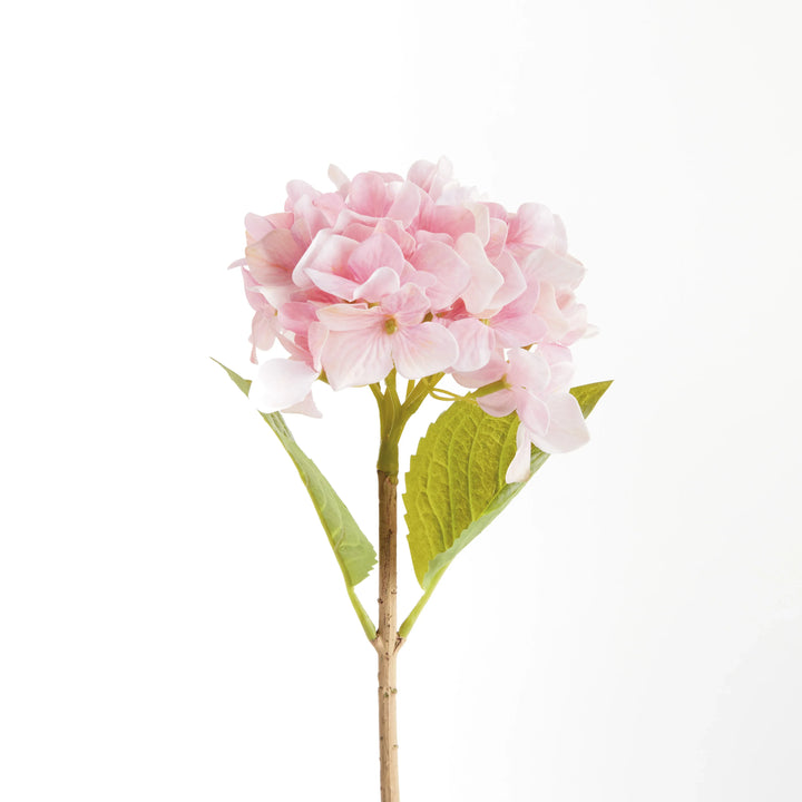 Hydrangea Stems 18", Set Of 6 – Modern Organic