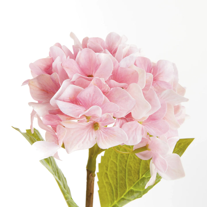 Hydrangea Stems 18", Set Of 6 – Modern Organic