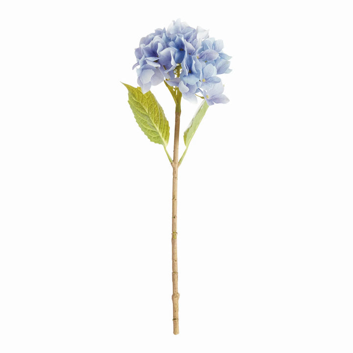 Hydrangea Stems 18", Set Of 6 – Modern Organic