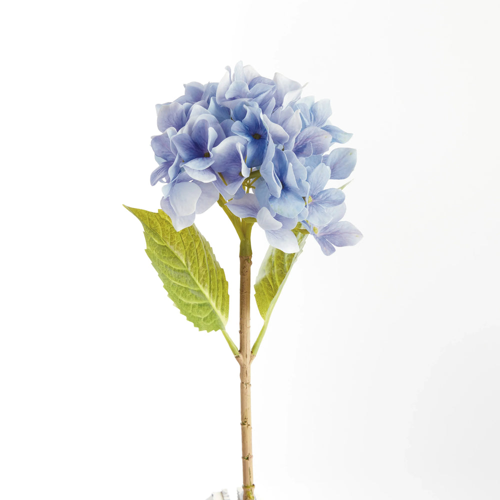 Hydrangea Stems 18", Set Of 6 – Modern Organic