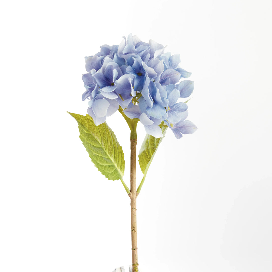 Hydrangea Stems 18", Set Of 6 – Modern Organic