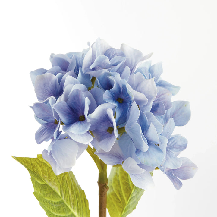 Hydrangea Stems 18", Set Of 6 – Modern Organic