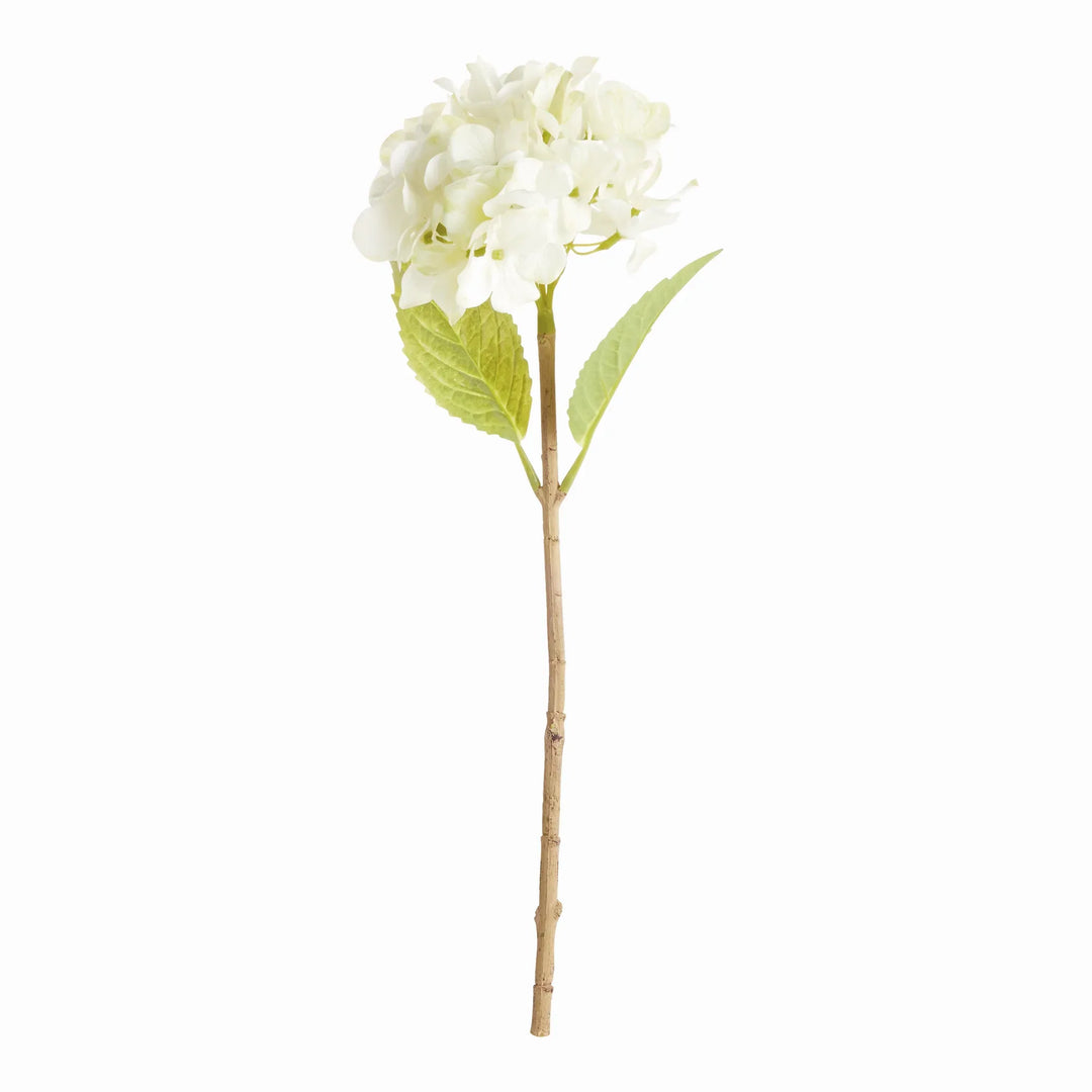 Hydrangea Stems 18", Set Of 6 – Modern Organic