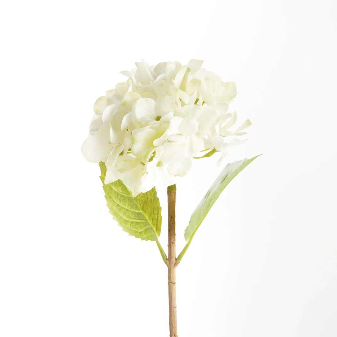 Hydrangea Stems 18", Set Of 6 – Modern Organic
