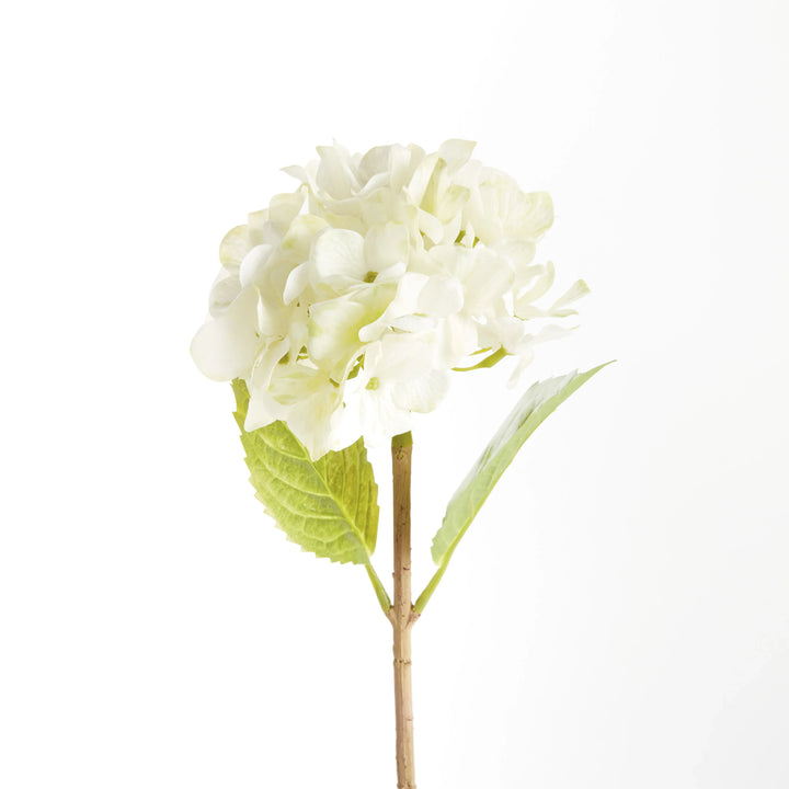Hydrangea Stems 18", Set Of 6 – Modern Organic