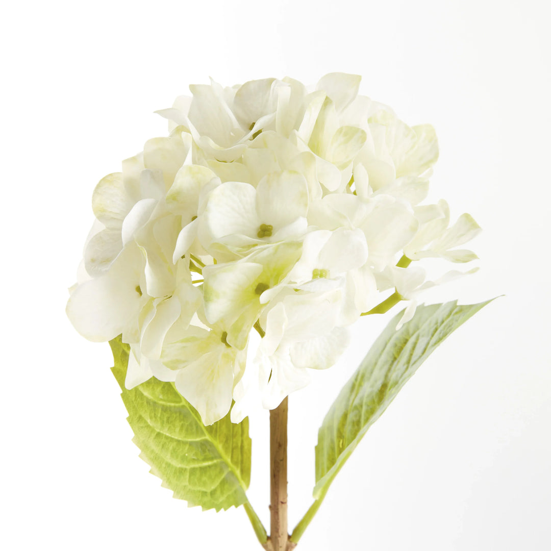 Hydrangea Stems 18", Set Of 6 – Modern Organic