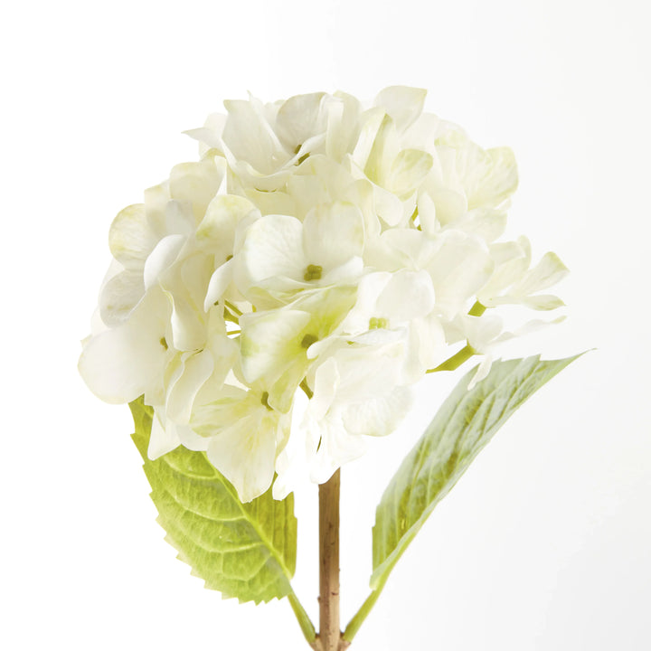 Hydrangea Stems 18", Set Of 6 – Modern Organic