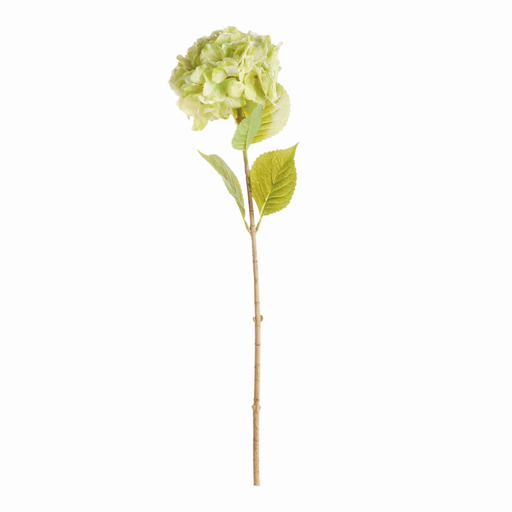Mophead Hydrangea Stems 30.5", Set Of 4 – Modern Organic