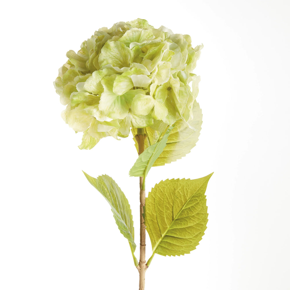 Mophead Hydrangea Stems 30.5", Set Of 4 – Modern Organic