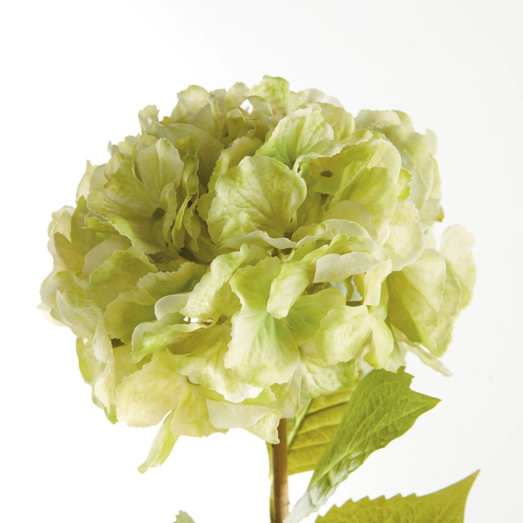 Mophead Hydrangea Stems 30.5", Set Of 4 – Modern Organic