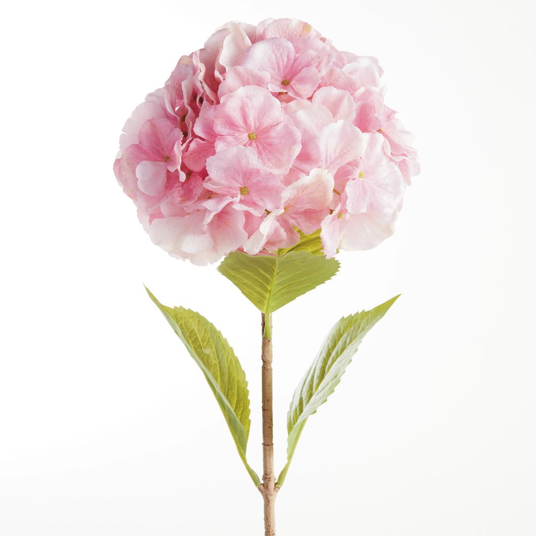 Mophead Hydrangea Stems 30.5", Set Of 4 – Modern Organic