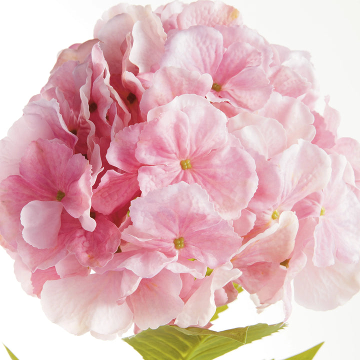 Mophead Hydrangea Stems 30.5", Set Of 4 – Modern Organic