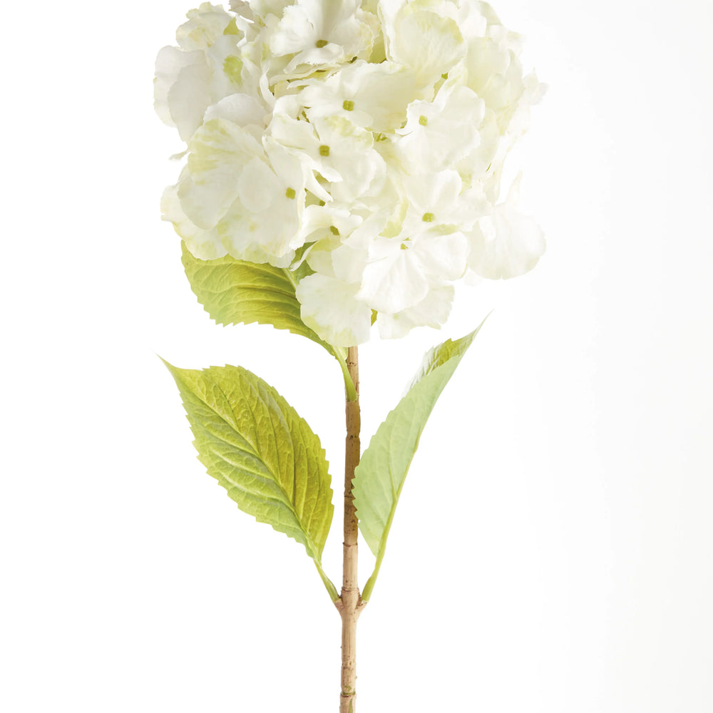 Mophead Hydrangea Stems 30.5", Set Of 4 – Modern Organic