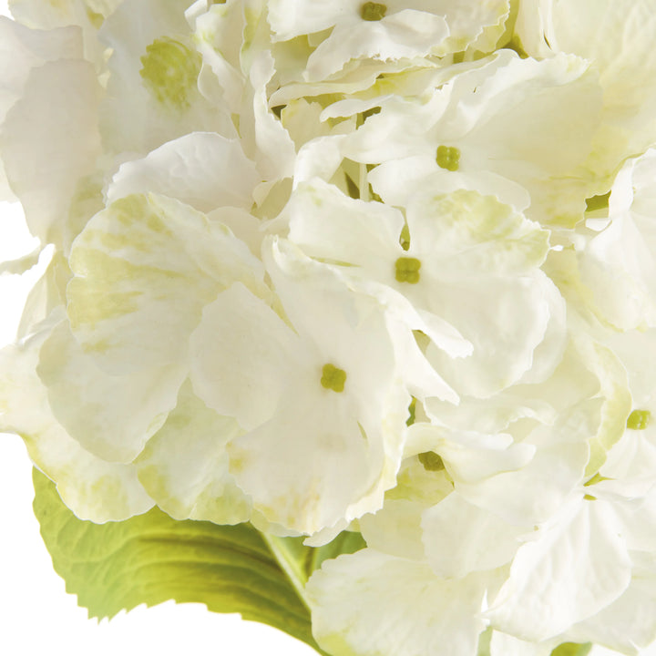 Mophead Hydrangea Stems 30.5", Set Of 4 – Modern Organic