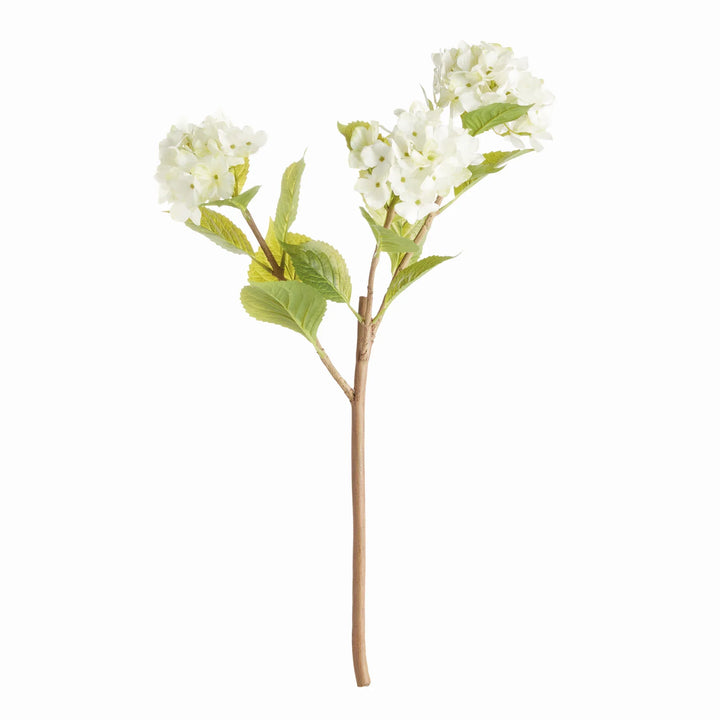 Hydrangea Branches 31", Set Of 2 – Modern Organic