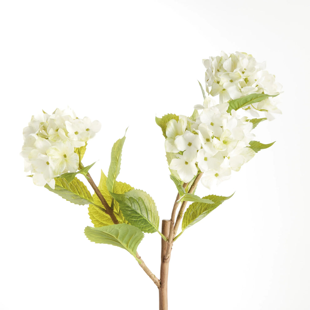Hydrangea Branches 31", Set Of 2 – Modern Organic