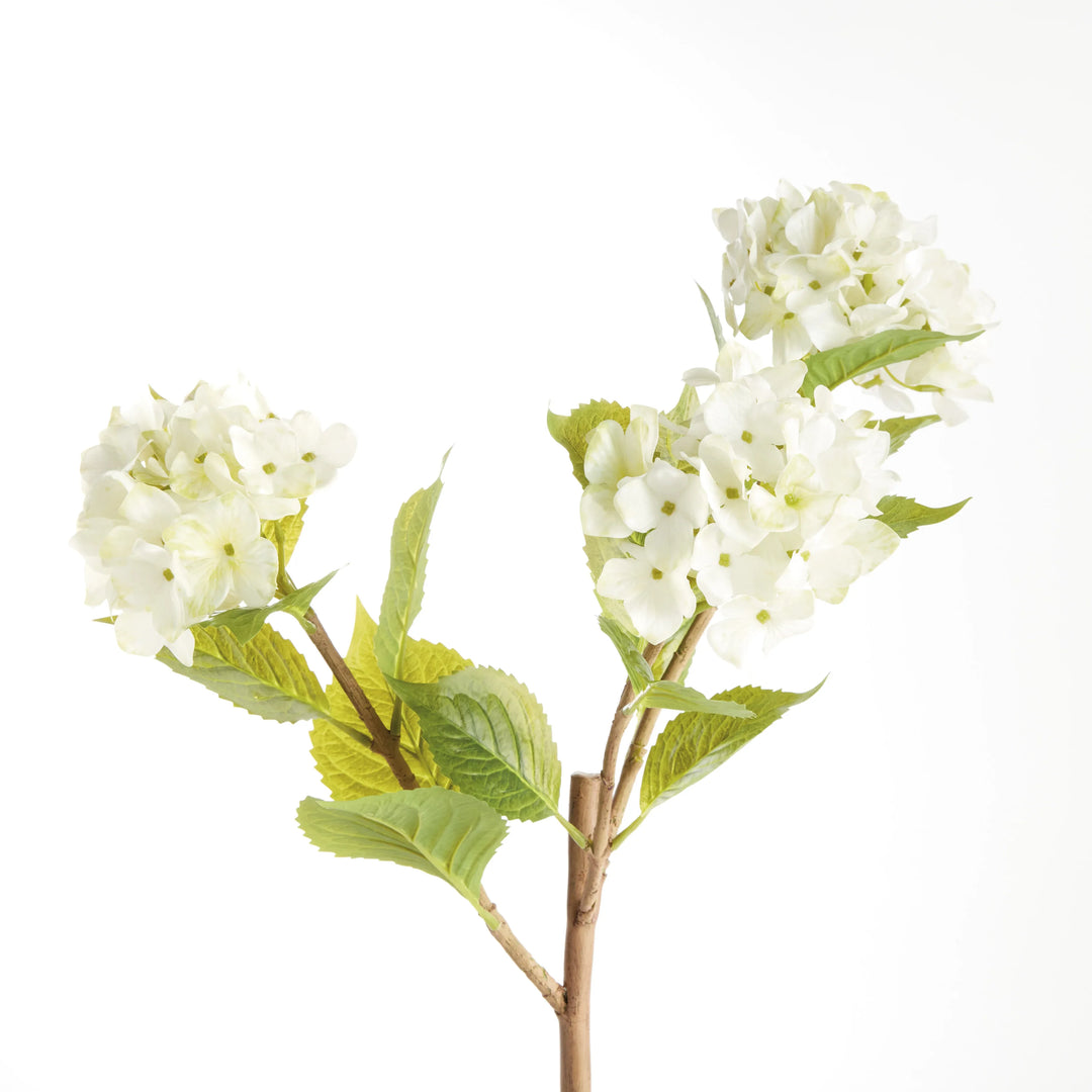 Hydrangea Branches 31", Set Of 2 – Modern Organic