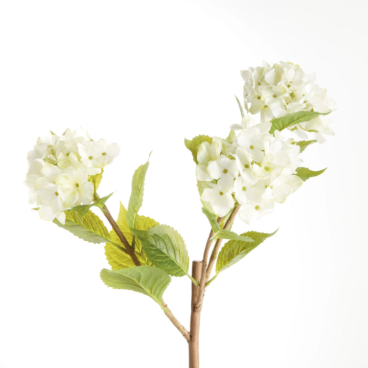 Hydrangea Branches 31", Set Of 2 – Modern Organic