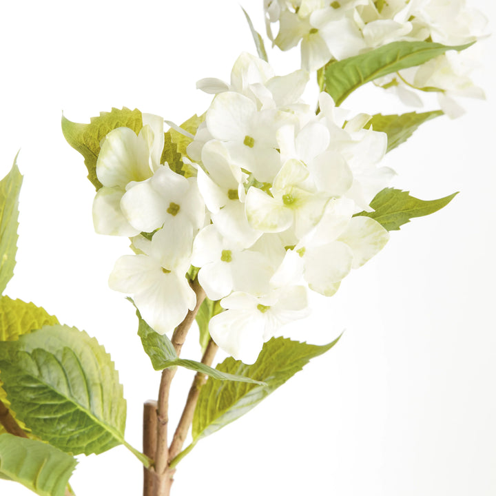 Hydrangea Branches 31", Set Of 2 – Modern Organic