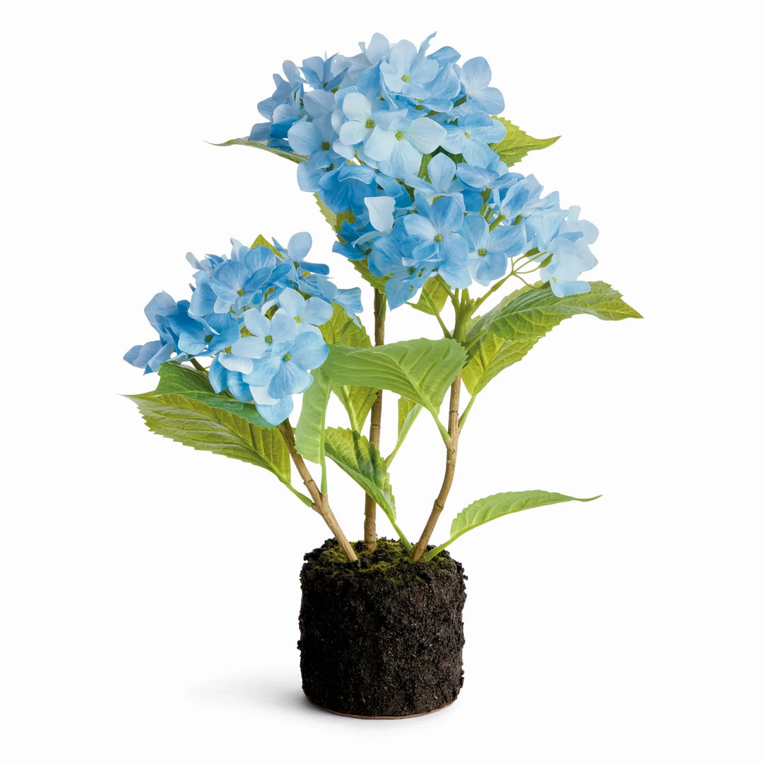 Hydrangea Drop-In 18" – Modern Organic