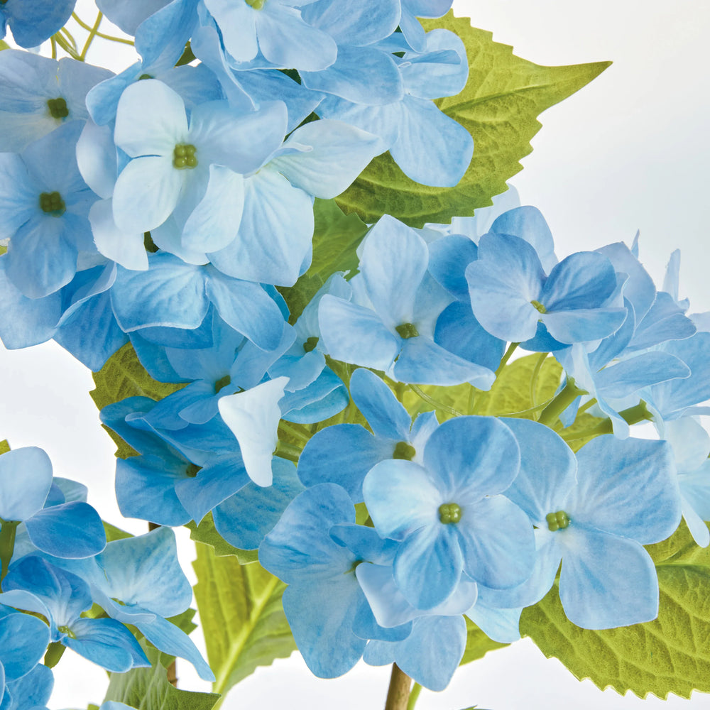 Hydrangea Drop-In 18" – Modern Organic