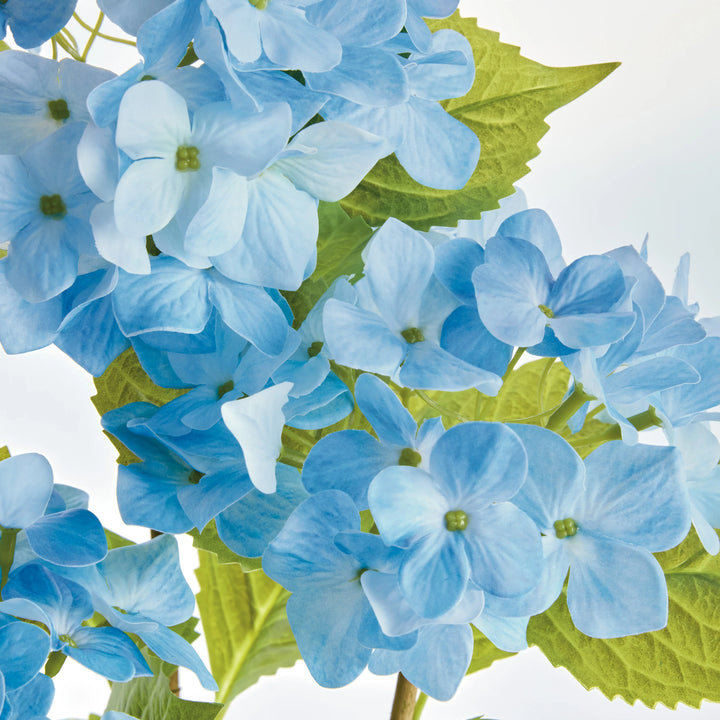 Hydrangea Drop-In 18" – Modern Organic