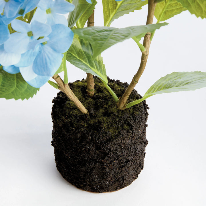 Hydrangea Drop-In 18" – Modern Organic