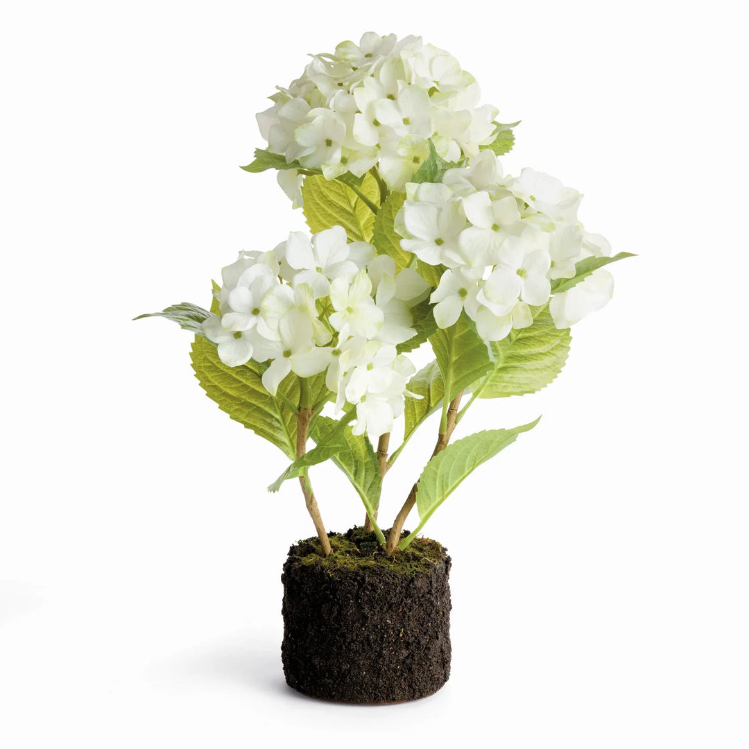 Hydrangea Drop-In 18" – Modern Organic