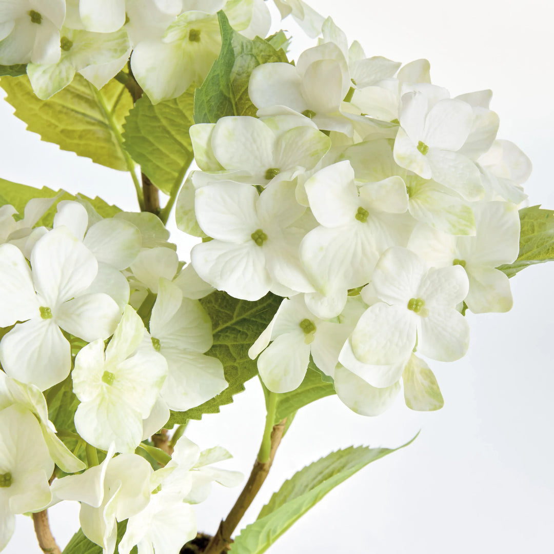 Hydrangea Drop-In 18" – Modern Organic
