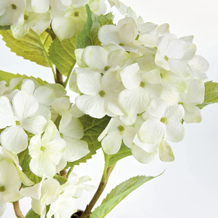 Hydrangea Drop-In 18" – Modern Organic