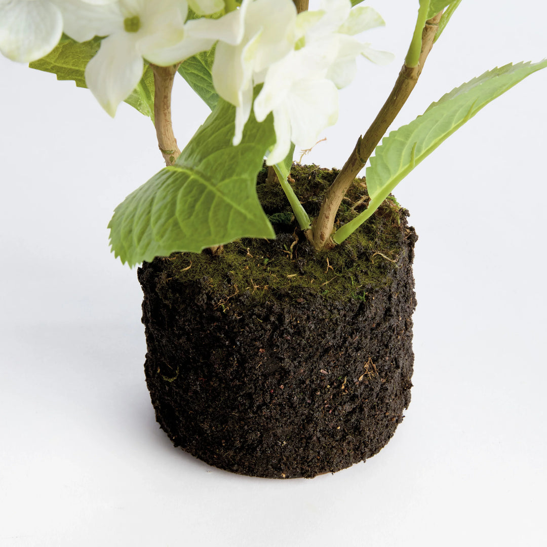 Hydrangea Drop-In 18" – Modern Organic