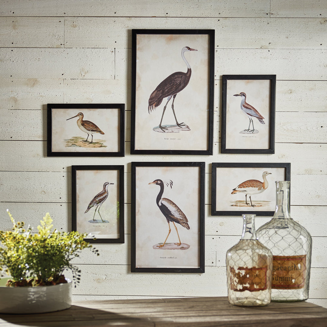 Waterfowl Gallery Wall Prints, Set Of 6