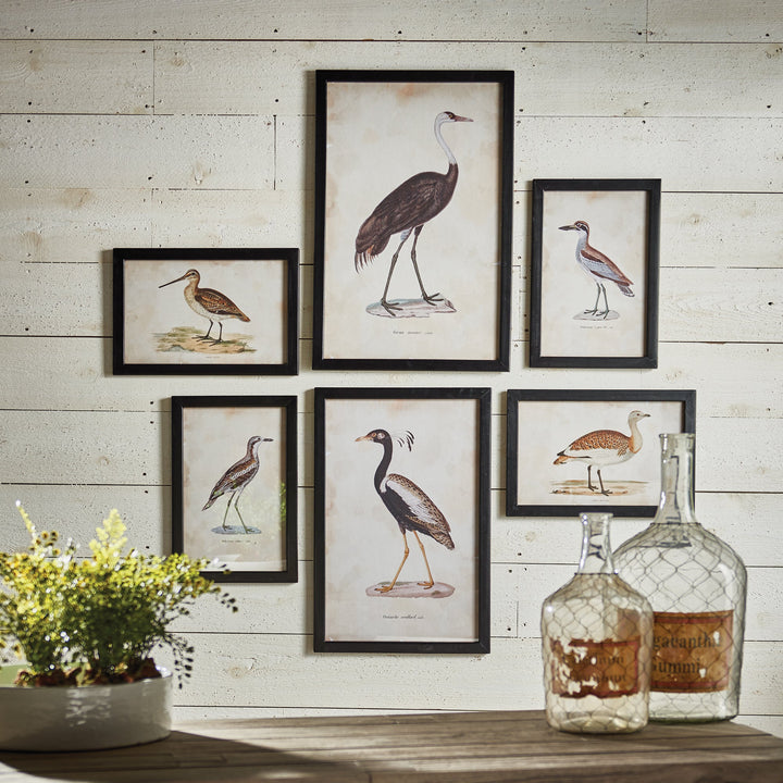 Waterfowl Gallery Wall Prints, Set Of 6