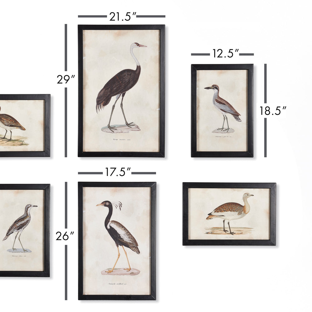 Waterfowl Gallery Wall Prints, Set Of 6