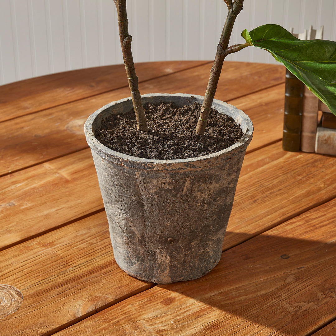 Fiddle Leaf Fig Planter Potted 43"