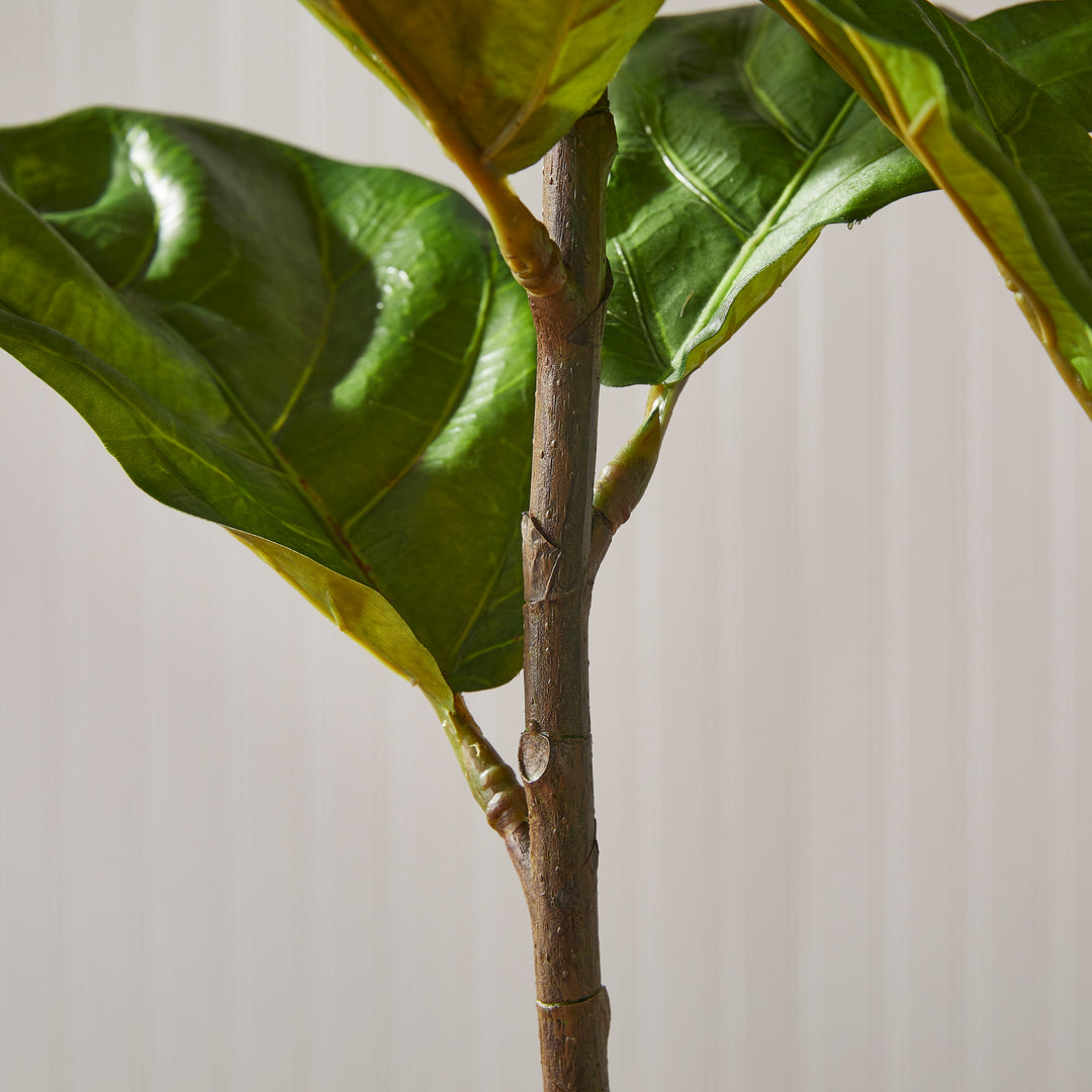 Fiddle Leaf Fig Planter Potted 43"