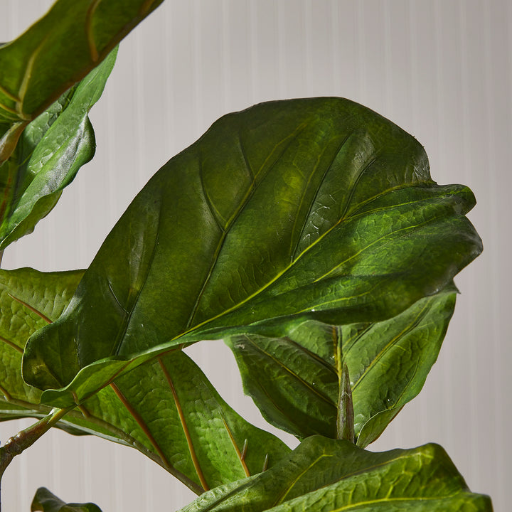 Fiddle Leaf Fig Planter Potted 43"