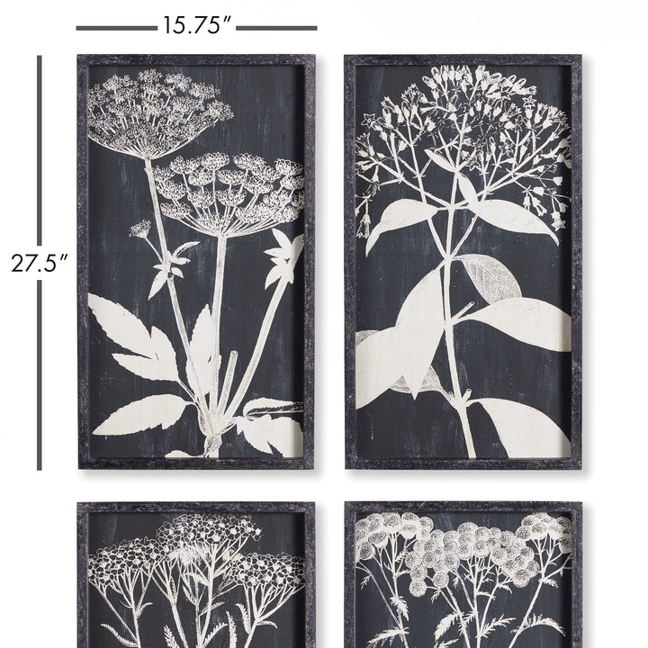 Queen Anne's Lace Floral Wall Prints, Set Of 4