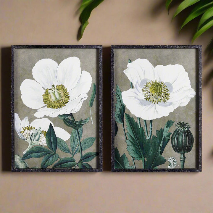 Poppy Wall Prints, Set Of 2