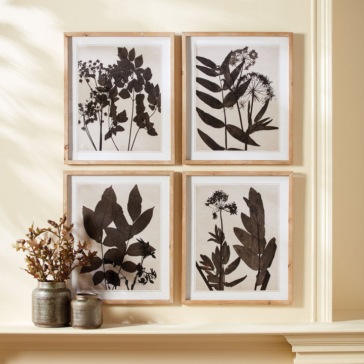 Pressed Foliage Wall Prints, Set Of 4