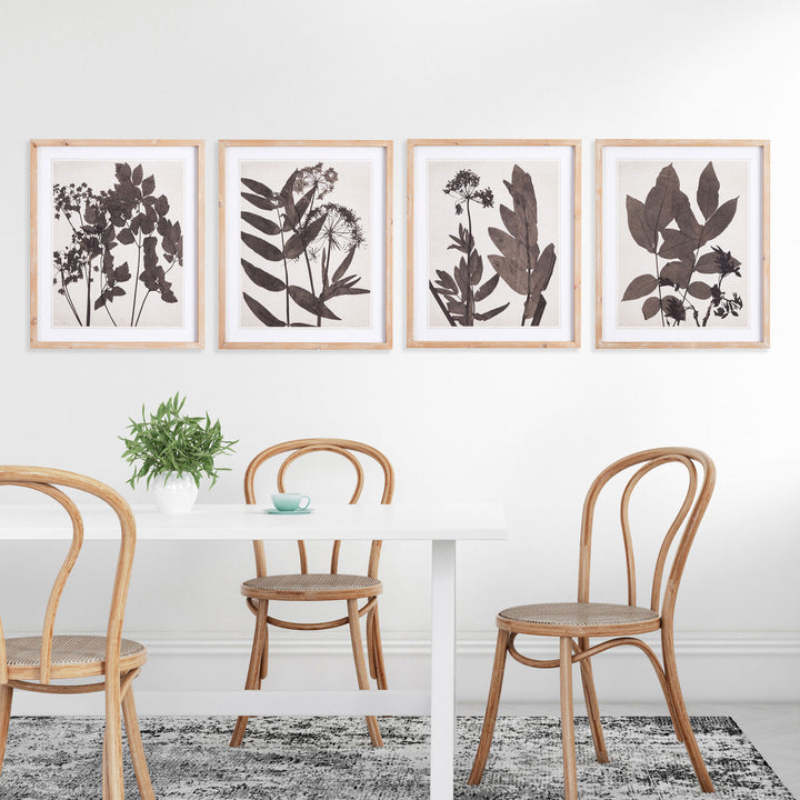 Pressed Foliage Wall Prints, Set Of 4