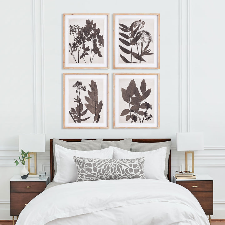 Pressed Foliage Wall Prints, Set Of 4