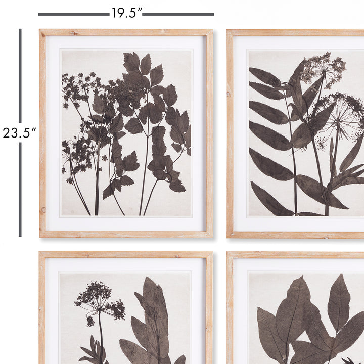 Pressed Foliage Wall Prints, Set Of 4