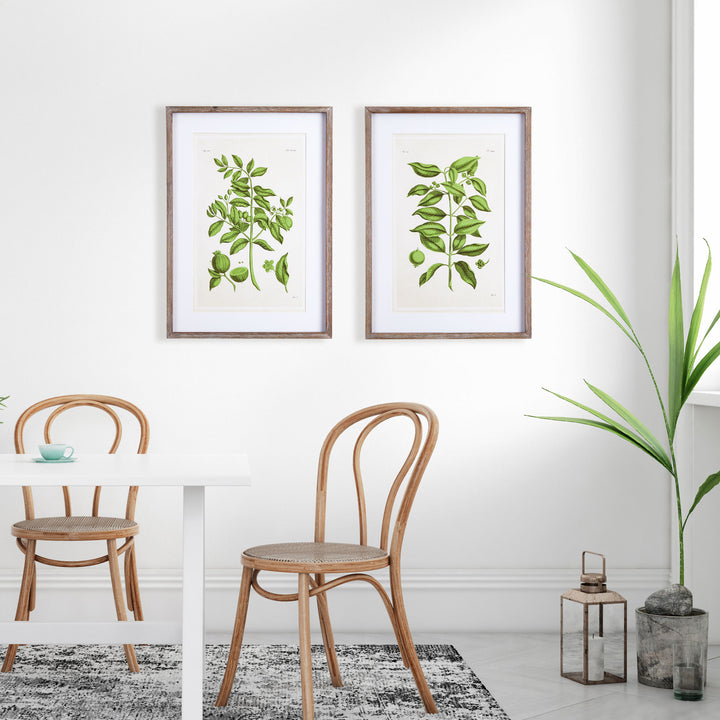 Guava Wall Prints, Set Of 2